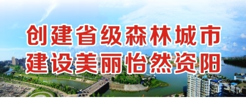 大鸡巴插入女人的阴到了成人成人网视频网站创建省级森林城市 建设美丽怡然资阳